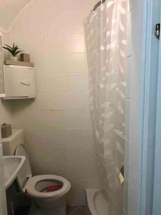 Milena Apartment 그라츠 외부 사진