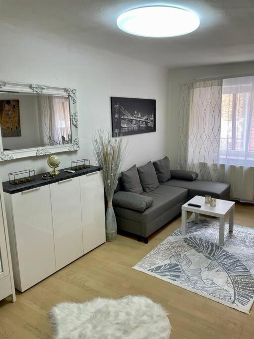 Milena Apartment 그라츠 외부 사진